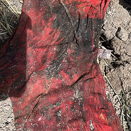 Por: Pako Medina / Pa’ Kotorrear
Integrantes del Colectivo Amor por los Desaparecidos en Tamaulipas informaron sobre la localización de una presunta fosa clandestina durante una jornada de búsqueda realizada en el ejido El Porvenir, al sur de Reynosa.
De acuerdo con el reporte del colectivo, el hallazgo se registró durante la segunda búsqueda correspondiente a la jornada número 77, en la que participaron acompañados por elementos de la Guardia Estatal.
La localización fue catalogada como el positivo número 26 de las labores de búsqueda efectuadas por el colectivo. En el sitio se detectó una fosa clandestina donde, de manera preliminar, se presume la presencia de restos de al menos dos personas.
Tras el hallazgo, se dio aviso a las autoridades competentes para que personal de servicios periciales y de investigación realice el procesamiento del área, así como las diligencias correspondientes para la recuperación e identificación de los restos.
El Colectivo Amor por los Desaparecidos en Tamaulipas continúa realizando recorridos y búsquedas en distintos sectores de Reynosa y otros municipios de la entidad, con el objetivo de localizar indicios que permitan dar con el paradero de personas reportadas como desaparecidas.
#PakoMedina
#PakoMedinaInforma
#PaKotorrear
#Reynosa
#Noticias