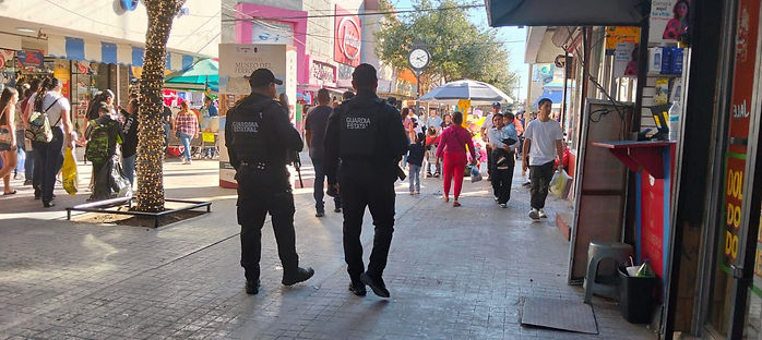 VIGILA GUARDIA ESTATAL DE PROXIMIDAD MUNICIPAL ÁREA PEATONAL EN REYNOSA