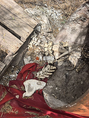 LOCALIZAN RESTOS ÓSEOS DENTRO DE UN TAMBO EN REYNOSA