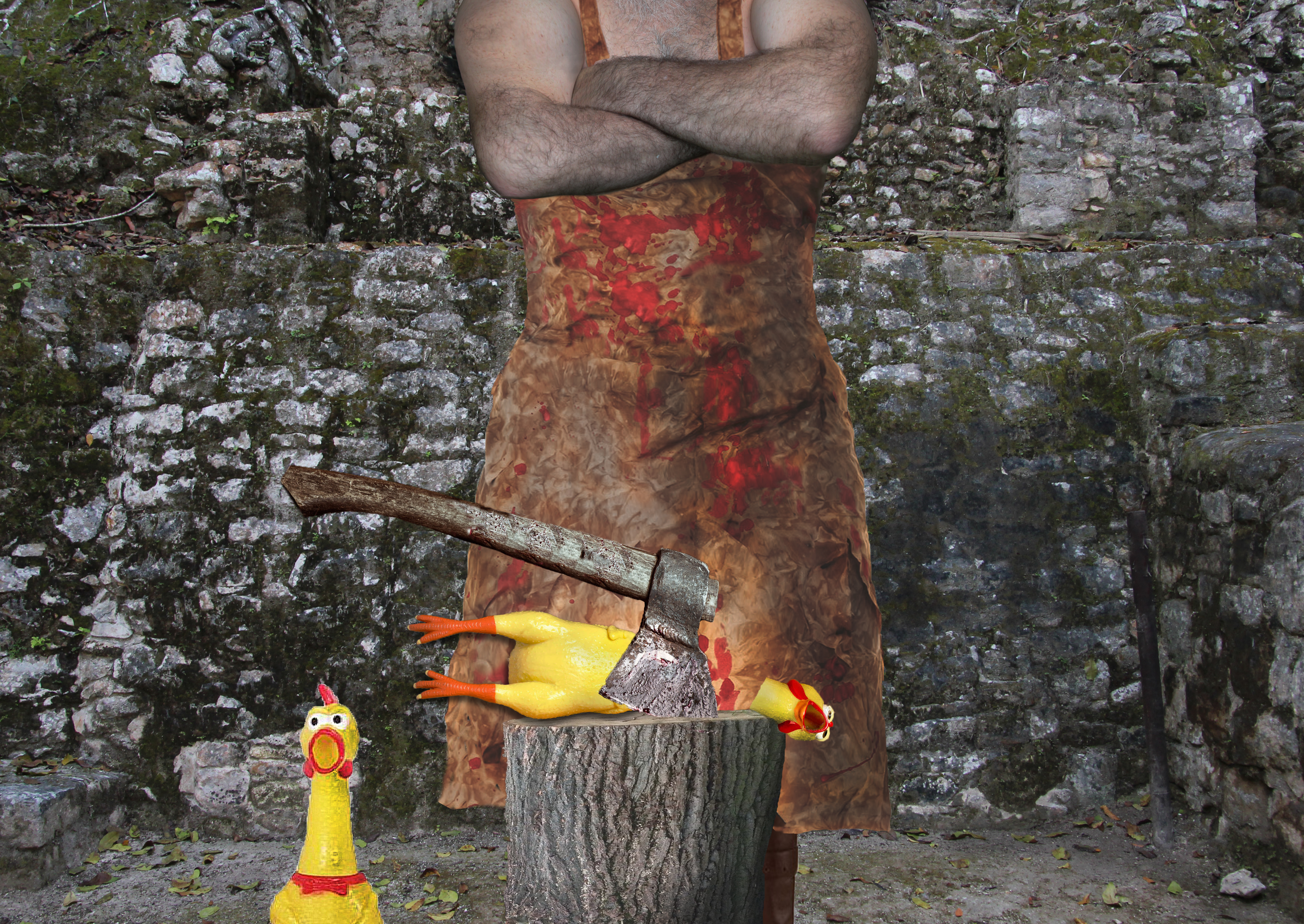 The Case Of A Short Sighted Butcher