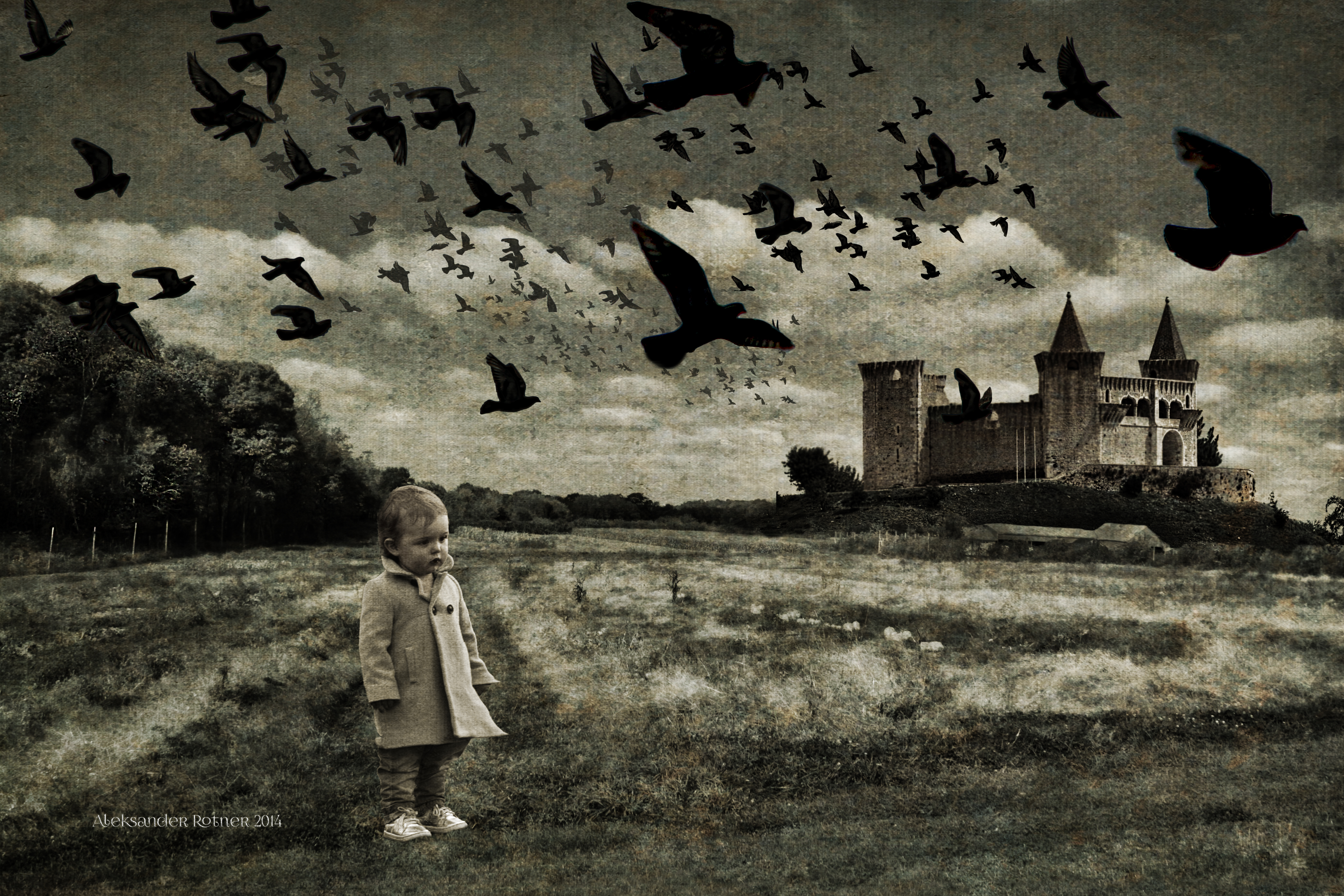 Lost In An Unfamiliar Landscape