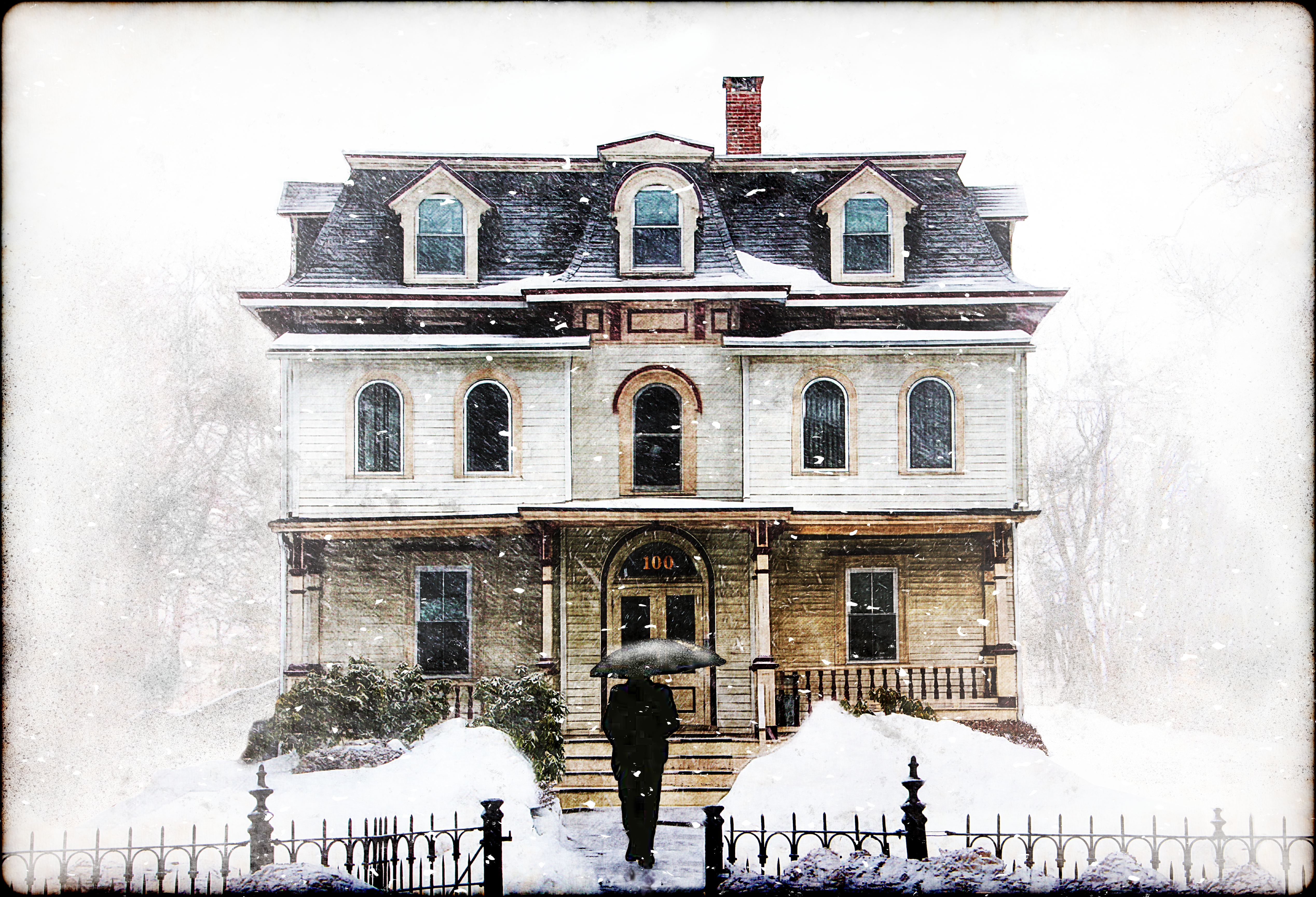 The Visit
