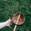 Thumbnail: Coconut Shell Water Scoop