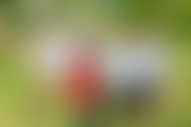 Instituto Embraer e Fundação Banco do Brasil desenvolvem projetos focados no uso de energia solar