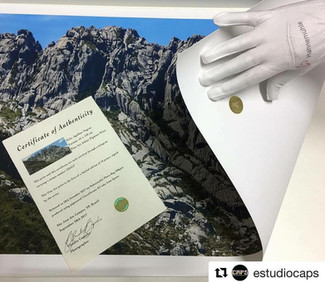 Certificado de Autenticidade
