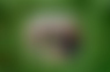 Embraer celebra 25 anos do Programa de Especialização em Engenharia