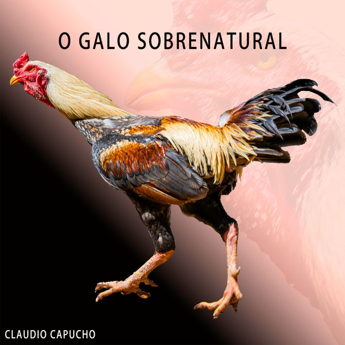 O Galo Sobrenatural