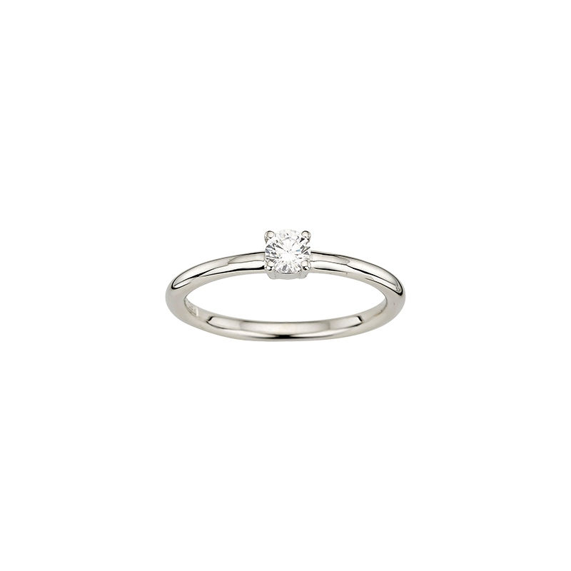Ring aus Silber bzw. Stahl