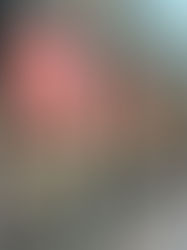 â¤Trauring-Aktions-Wochenâ¤