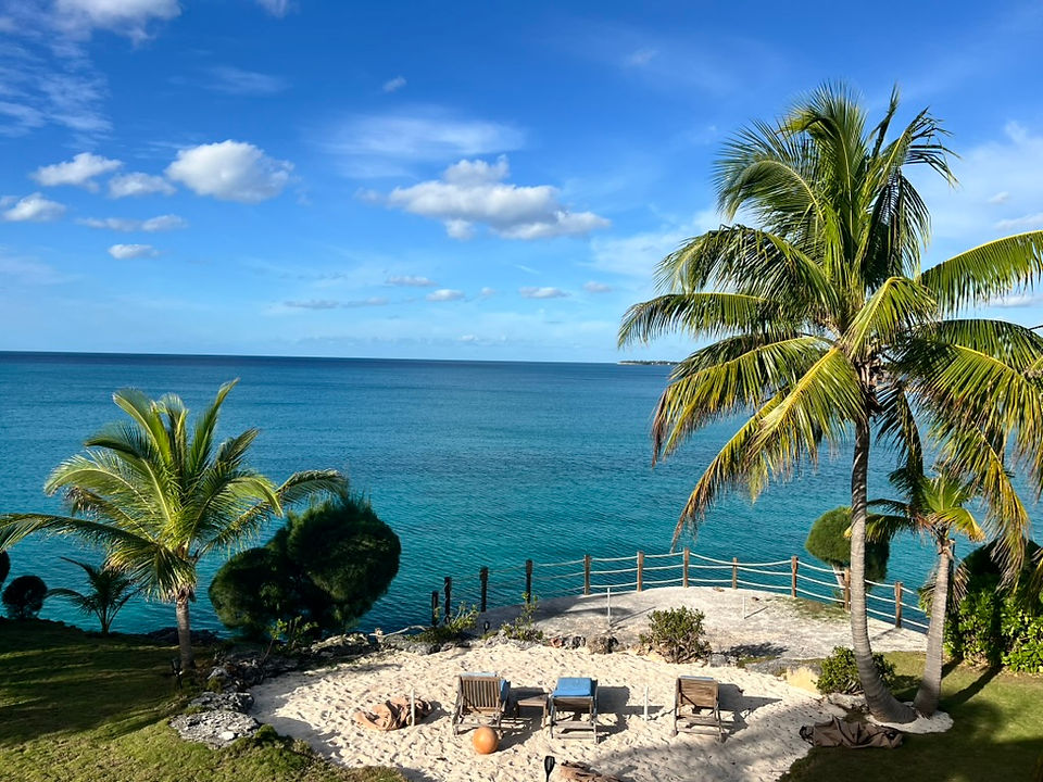 View from the Airbnb main patio overlooking a small private beach area with palm trees and stunning turquoise blue water, creating a peaceful tropical paradise.