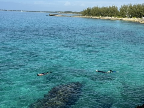 Two people snorkeling in the clear blue waters off the shore of Eleuthera, Bahamas, exploring vibrant marine life and the stunning underwater world