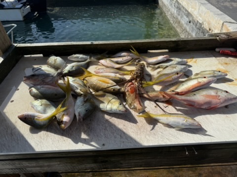 Table displaying a variety of fish caught during a private fishing charter out of Spanish Wells, showcasing the day’s successful catch.
