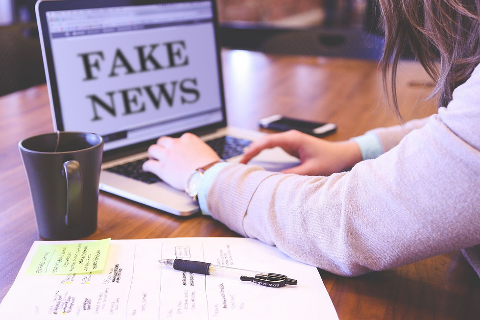 Person reading a fake news article.