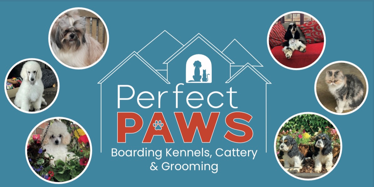 Perfect paws mobile dog grooming top