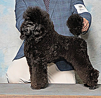 Brix first 5-pt major edit_edited_edited