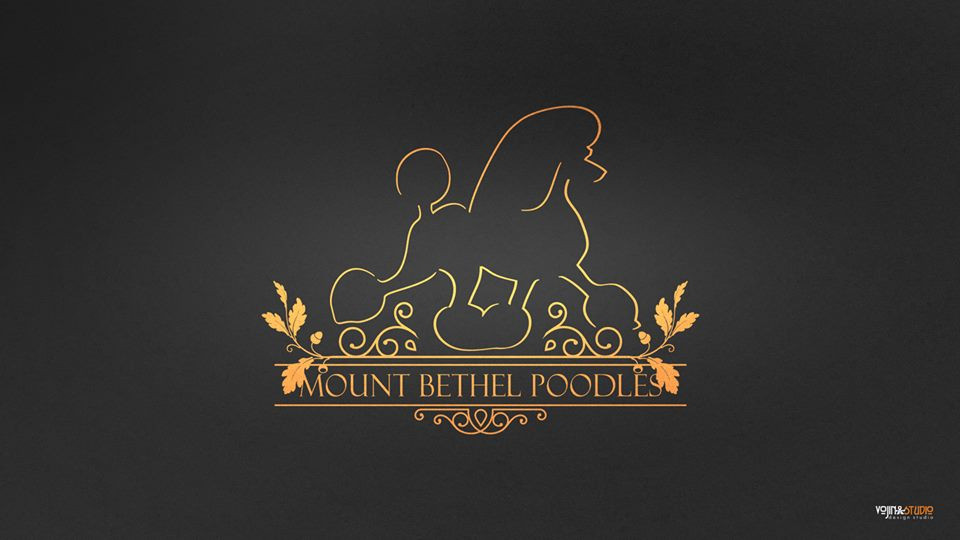 www.mountbethelpoodles.com