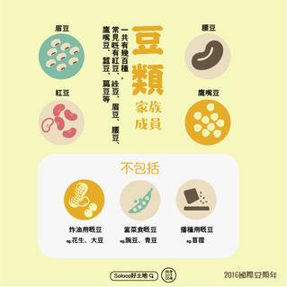 食豆減肥兼減碳