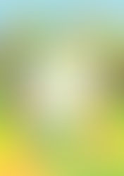 a nice place to小生活市集:首次衝出戶外