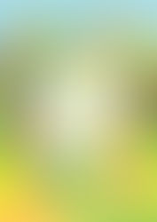 a nice place to小生活市集:首次衝出戶外