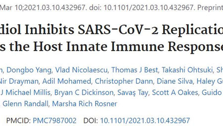 Research Roundup: Jan 31, 2022