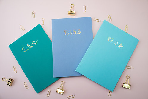 Set of 3 Notebooks