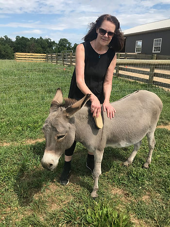 Women in a black dress brushes a donkey that stands as tall as her hips