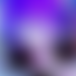 個人正会員・MIX師： 土佐けん