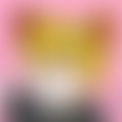 個人正会員・MIX師：けせもり