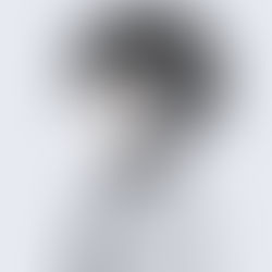個人正会員・MIX師：0eliza0