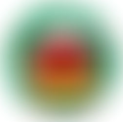 個人正会員・MIX師：橋川