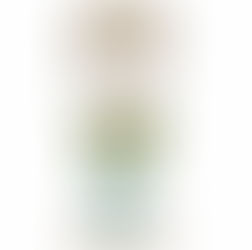 個人正会員・MIX師：村長