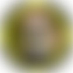 個人正会員・MIX師：たろ