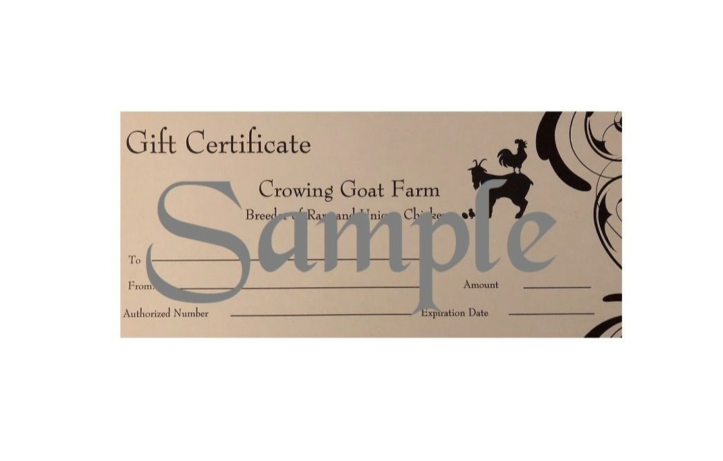 $25 Gift Certificate