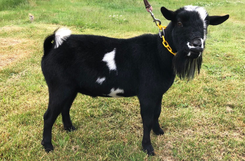 Riddick 6.10 (1).jpg