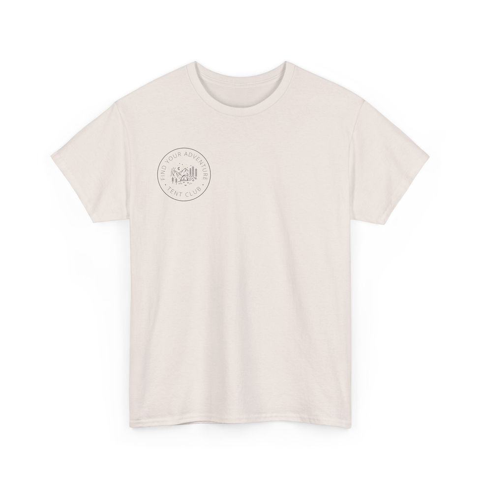 Ice Grey t-shirt front view