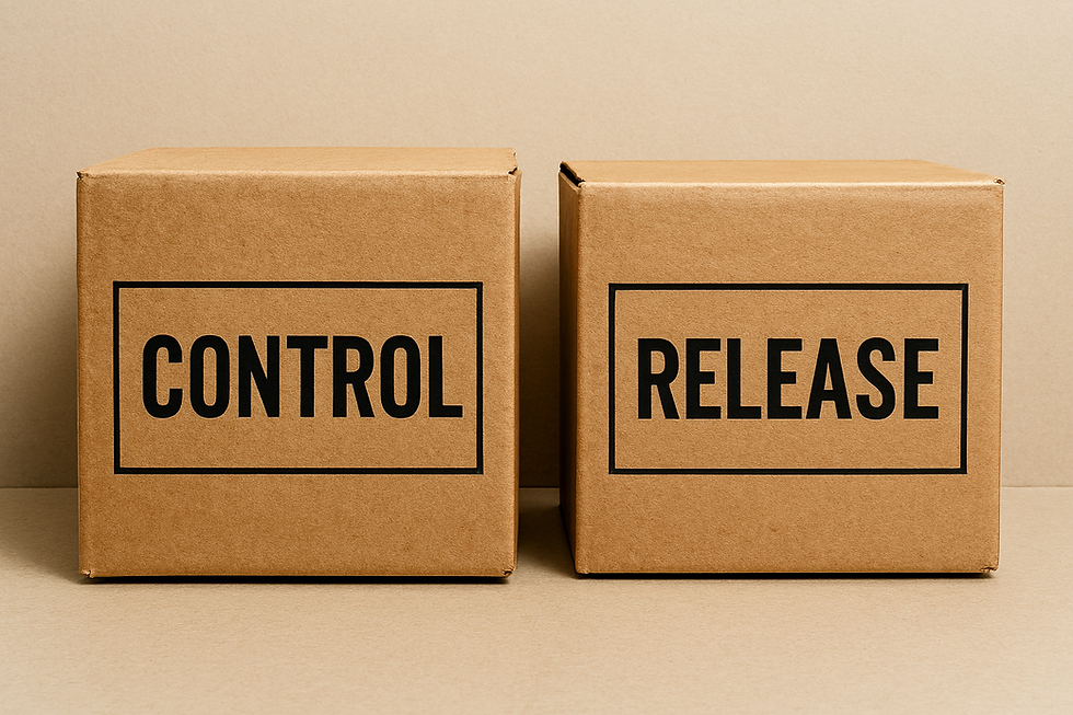 Two boxes; what you can control and what you need to release.
