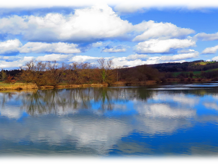 Image with a reflection of the sky, clouds, and trees on the water.