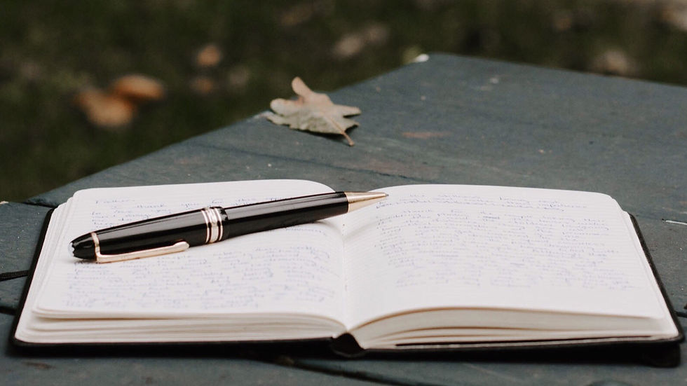 Journal and a pen.