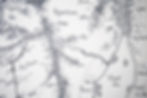 Thumbnail: Conan