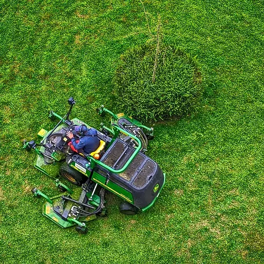 mower 1.webp