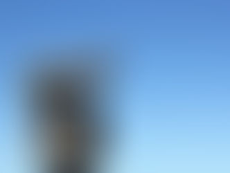 The Long View