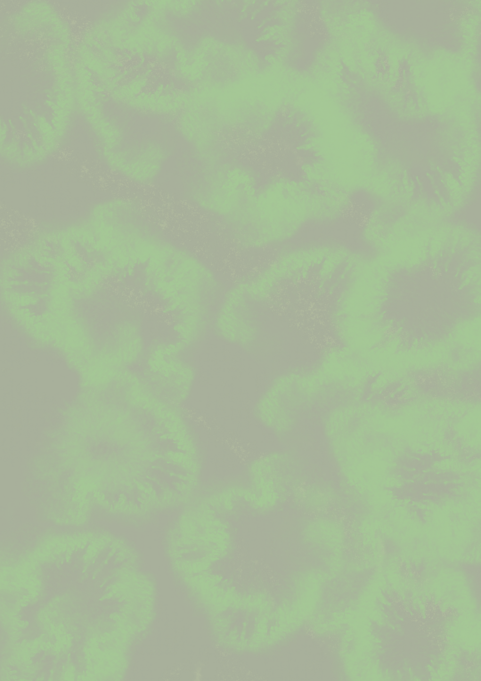 HG.png
