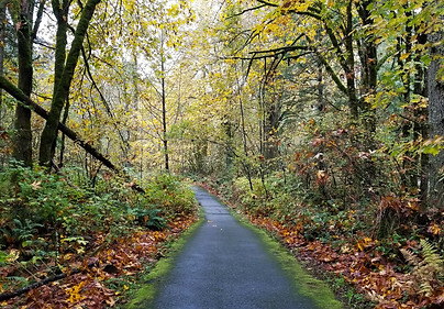 Klahanie Trail.jpg