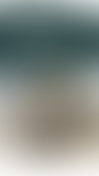 Revamp, Refresh, Renew: A Laundry Room Renovation Project