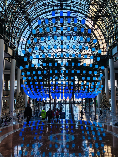 WinterGarden.jpeg