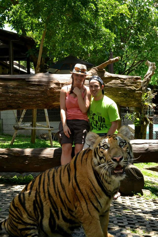 CHIANG MAI TIGER KINGDOM