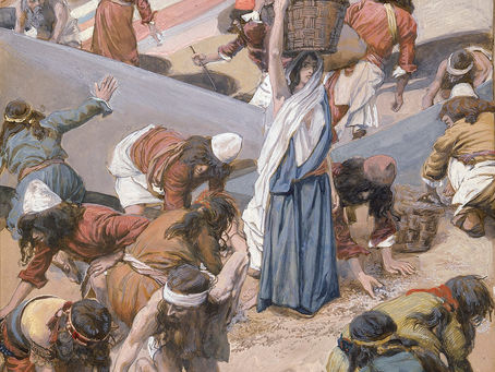 Parashat Chukat: Manna, What is it?