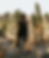 black women in joshua tree.png
