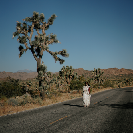 Share Allen Joshua Tree Park-21.png