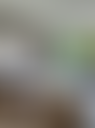 What a $7,595,000 House Looks like in Brentwood, California | Luxury Homes